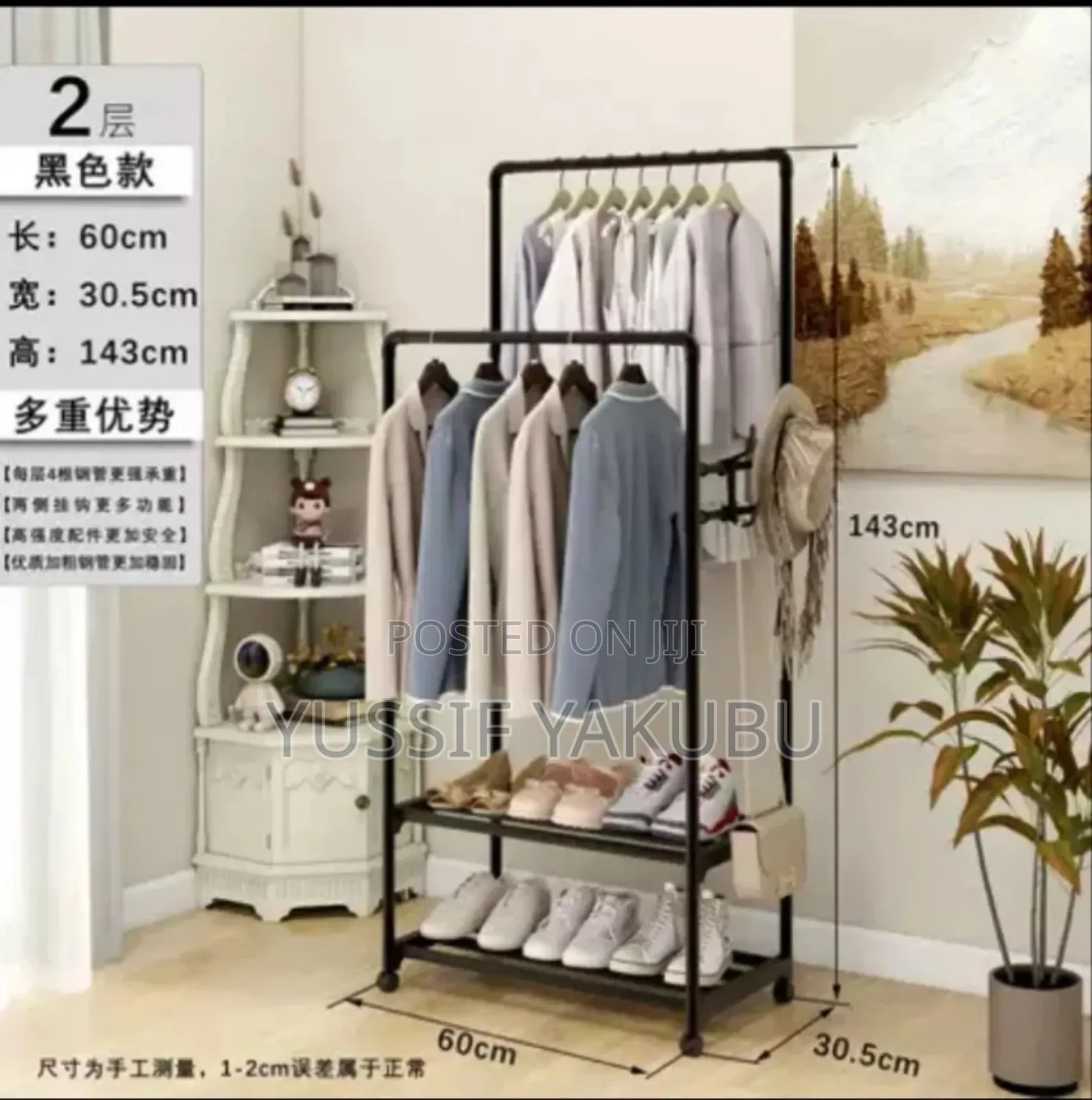 Shoe Rack and Wardrobe
