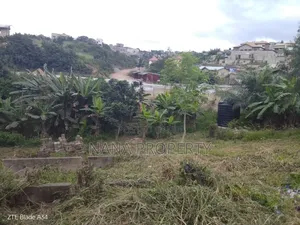 Two Plots of Land for Sale Located at Dowdowa Road Mensah Bar