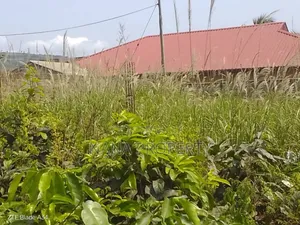Five Plots of Land for Sale Located at Dowdowa Road Mensah Bar Beauty