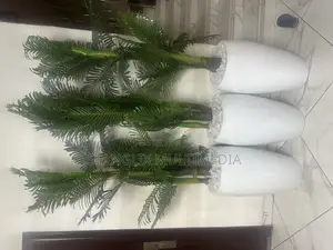Flower Pots