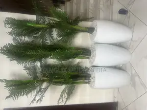 Flower Pots