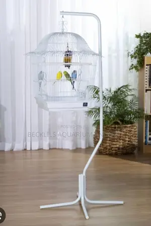 In and Outdoor Quality Potable Parrot Cage Stand