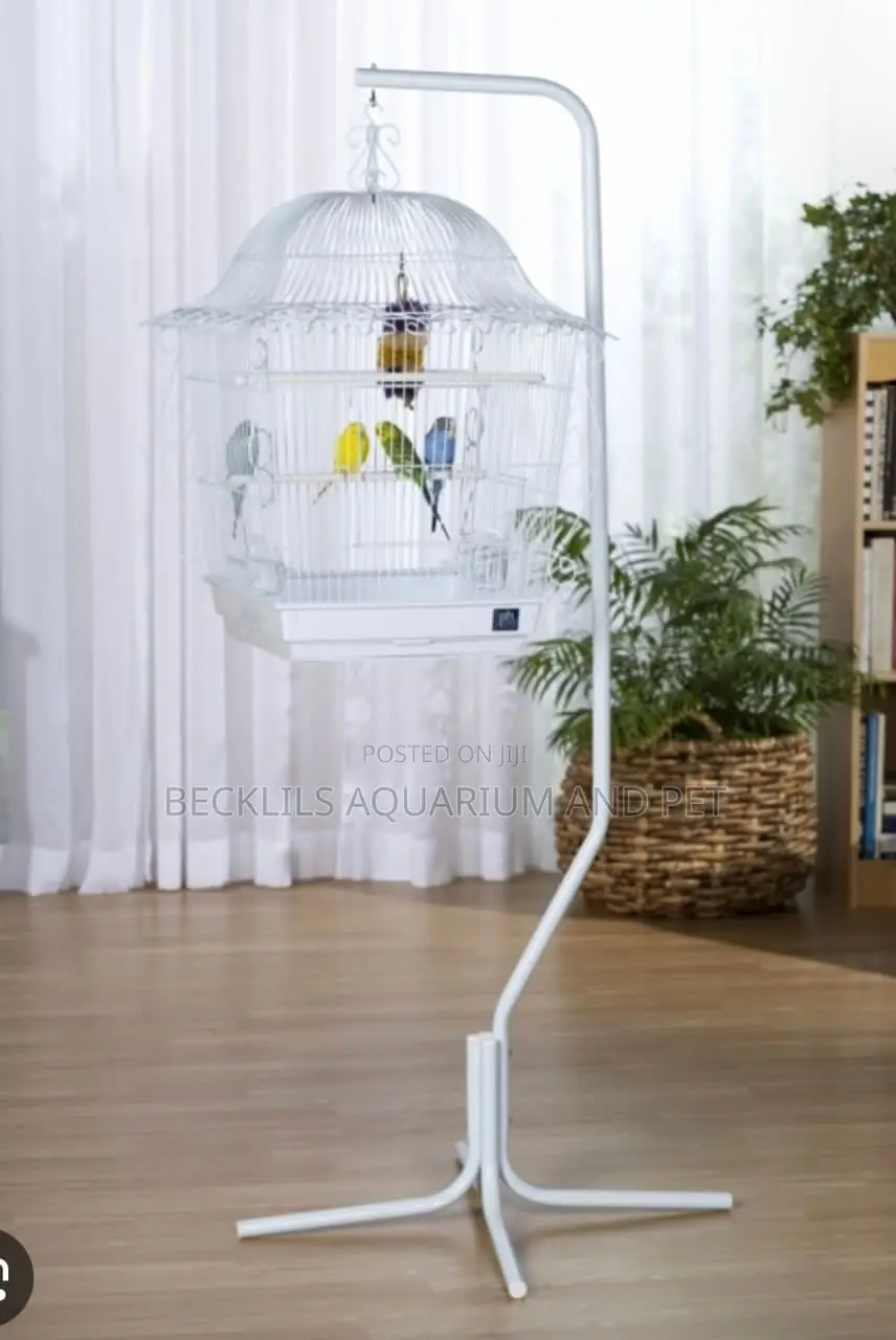 In and Outdoor Quality Potable Parrot Cage Stand