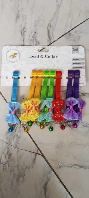Collar for Female Puppies