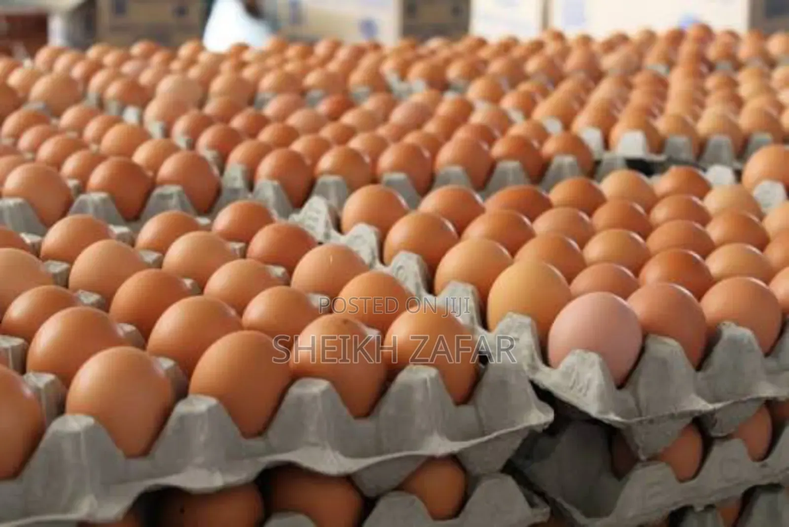 Fresh Farm Eggs – Lohmann Brown Layers (Pick-Up Only)