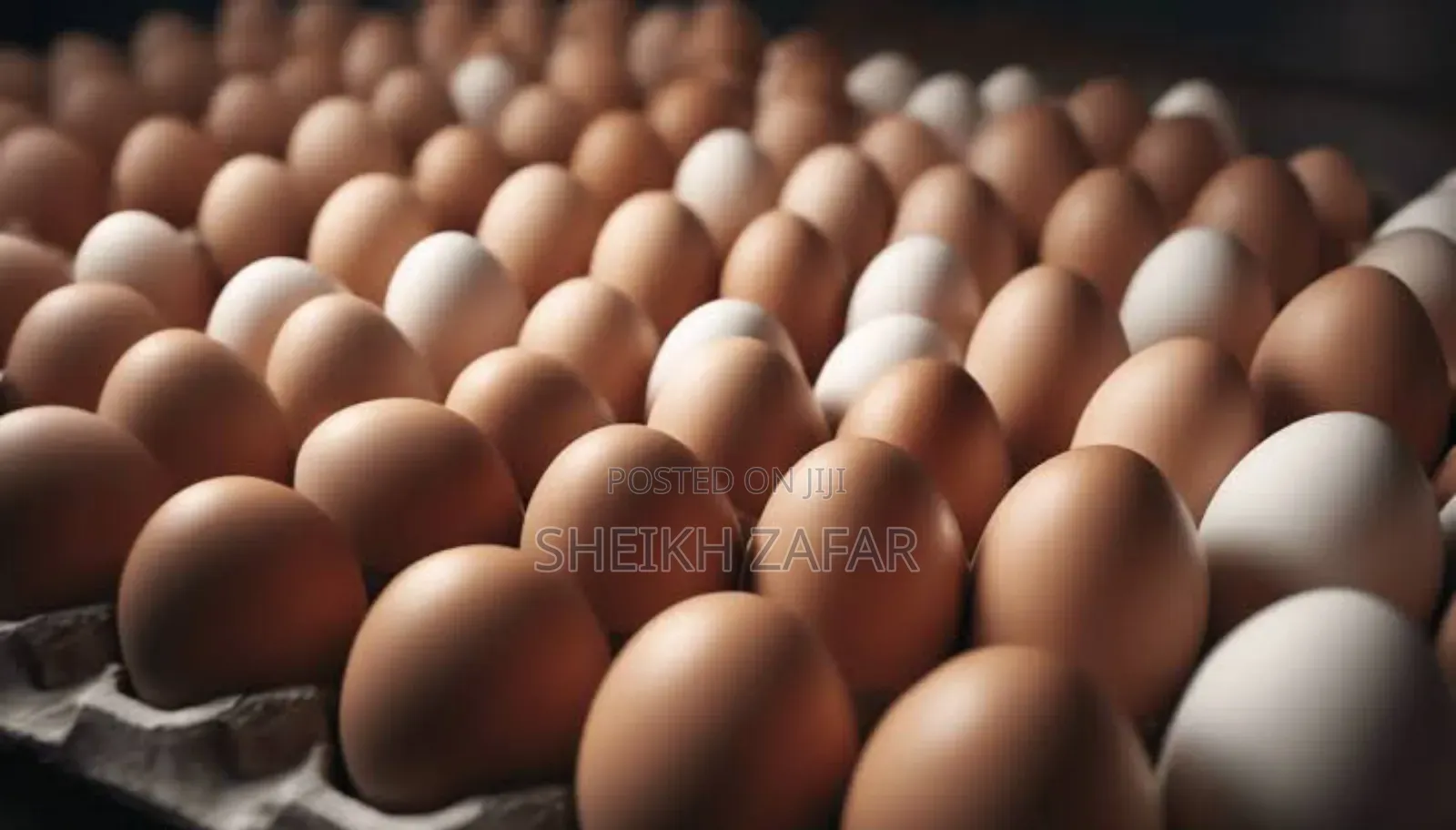 Fresh Farm Eggs – Lohmann Brown Layers (Pick-Up Only)