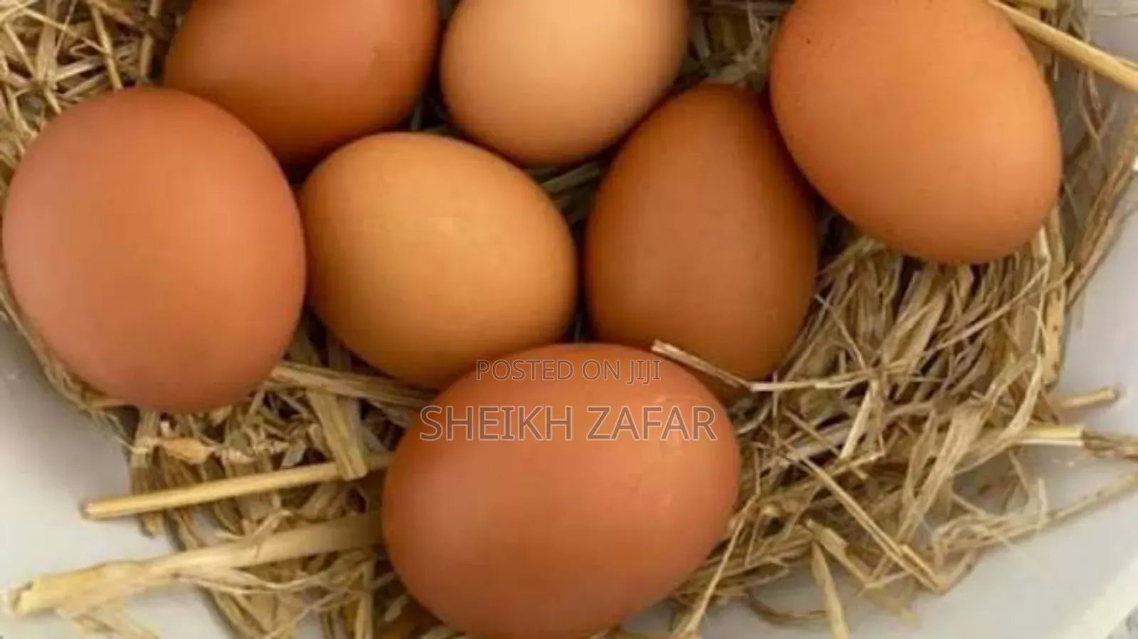 Fresh Farm Eggs – Lohmann Brown Layers (Pick-Up Only)