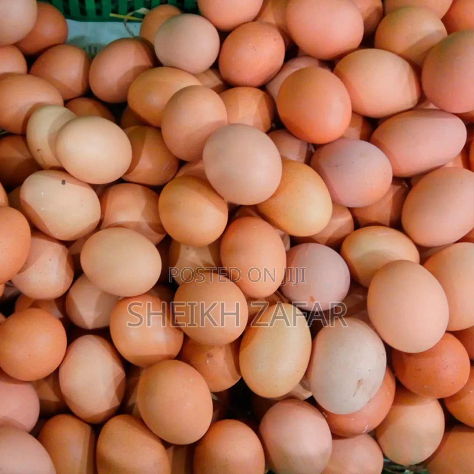 Fresh Farm Eggs – Lohmann Brown Layers (Pick-Up Only)