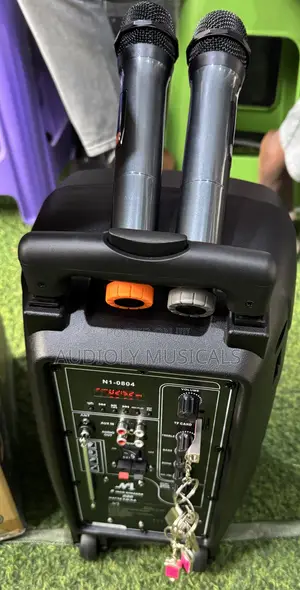 No1 8inches Rechargeable Speaker With Two Microphones