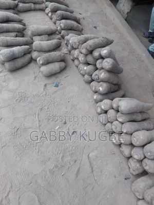 Fresh Yam for Everyone