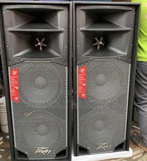 Spider/Peavey Full Range Speaker (Pair)