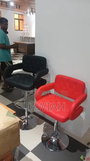 Salon Chairs