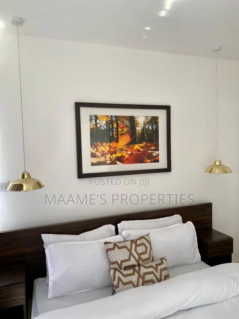 Furnished 2bdrm Apartment in Cantonments for sale