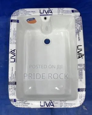 Lab Sink, Outside Sink, Outside Wall Basin