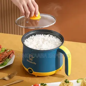 Portable/Mini Electric Cooker