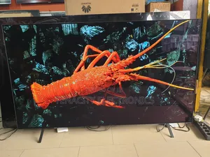 2024/25 B4 Oled Lg 65"Uhd HDR Smart Satellite Tv