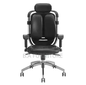Ergonomic/ Orthopedic Chair