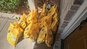 25lb Member’S Mark Jasmine Rice
