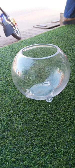 Aquarium Glass Bowl