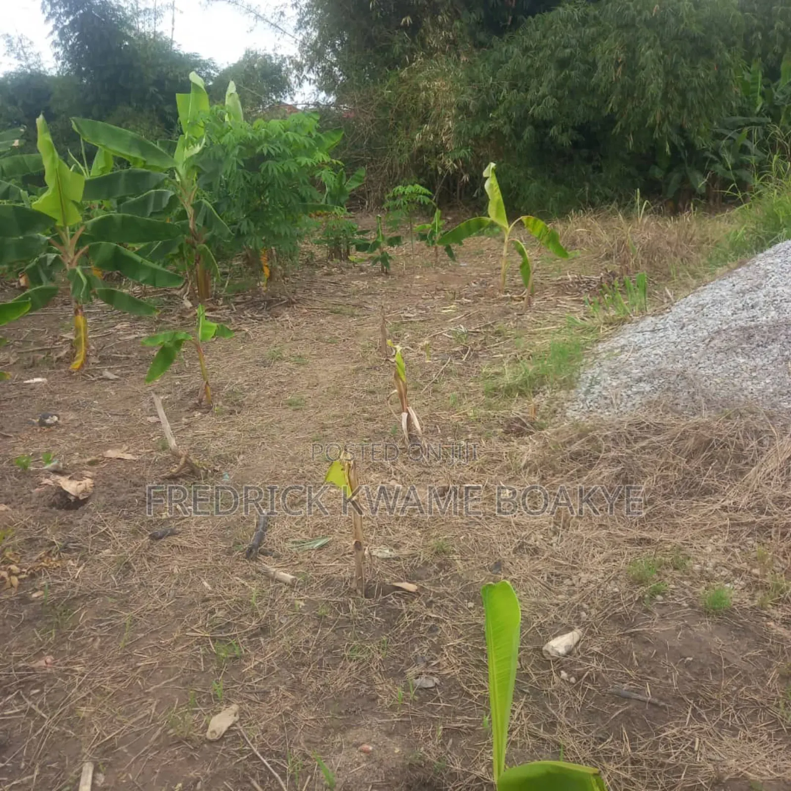 3 Plots of Land for Sale at Asuoyeboah Tanoso