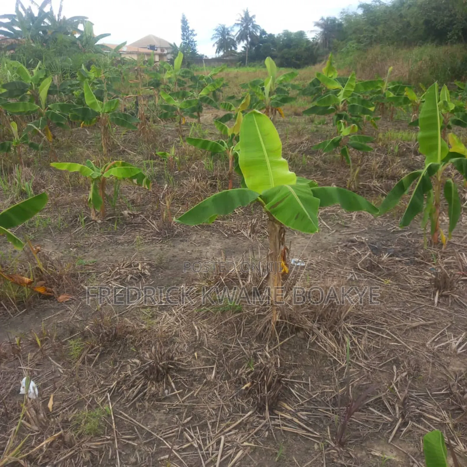 3 Plots of Land for Sale at Asuoyeboah Tanoso