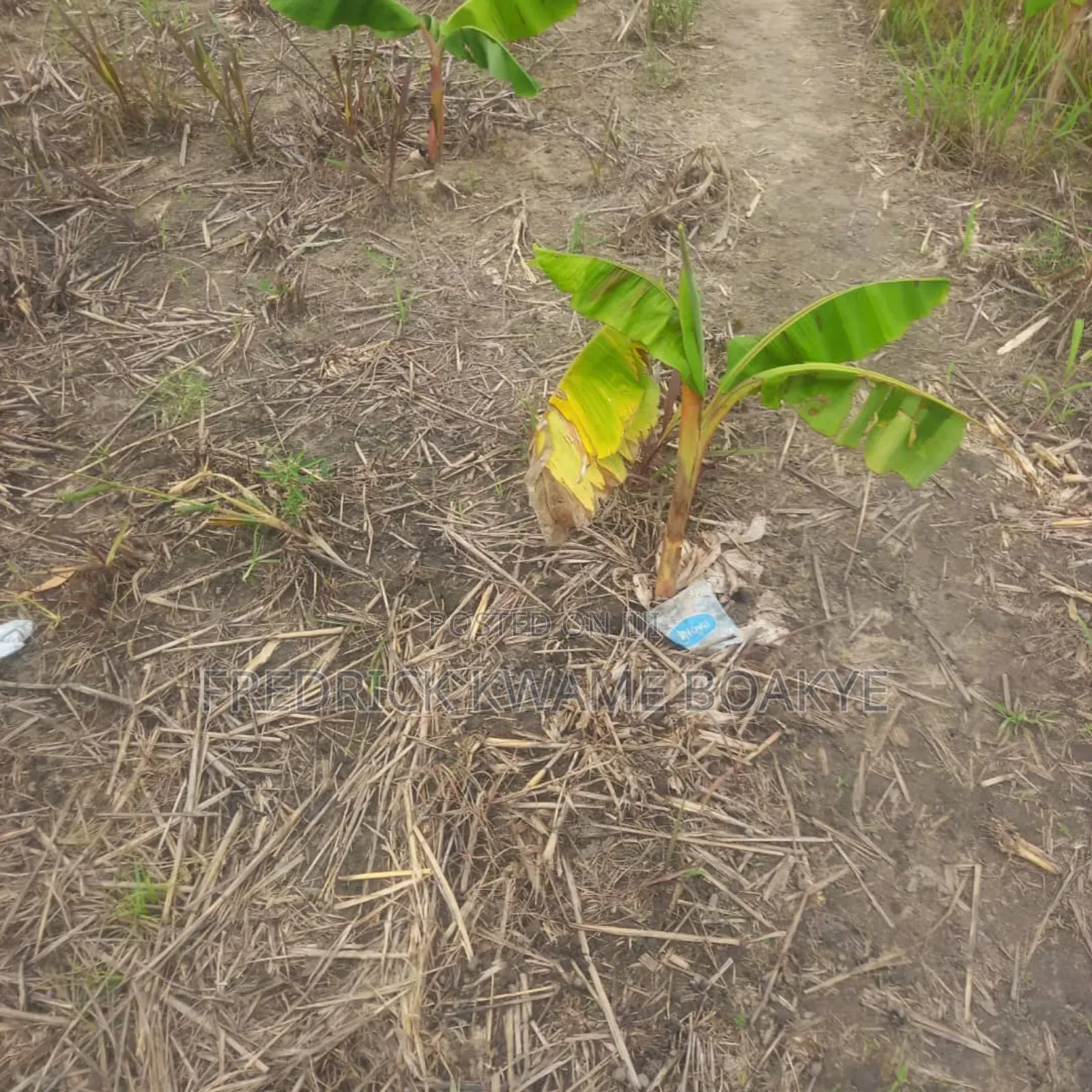 3 Plots of Land for Sale at Asuoyeboah Tanoso
