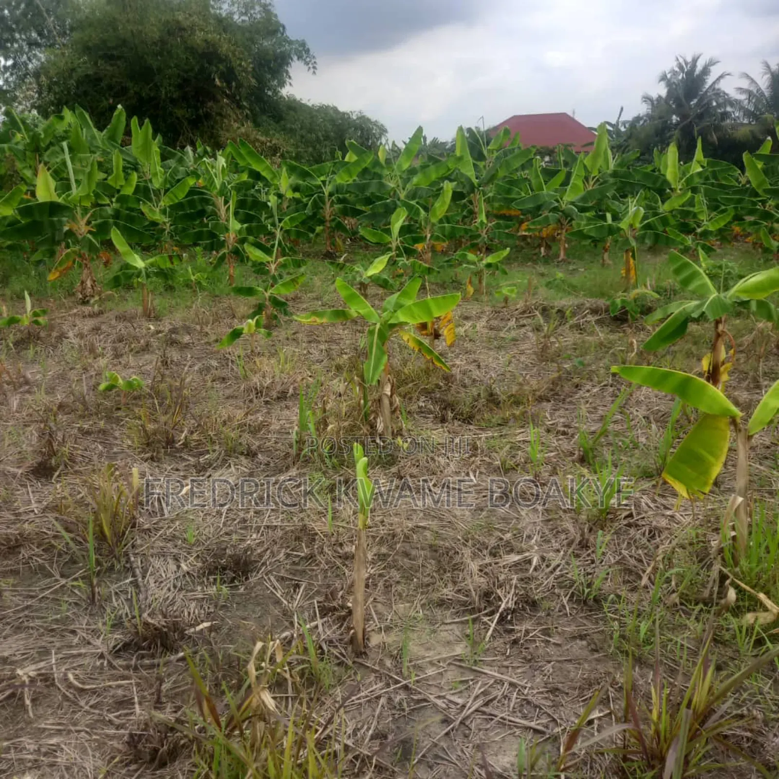3 Plots of Land for Sale at Asuoyeboah Tanoso