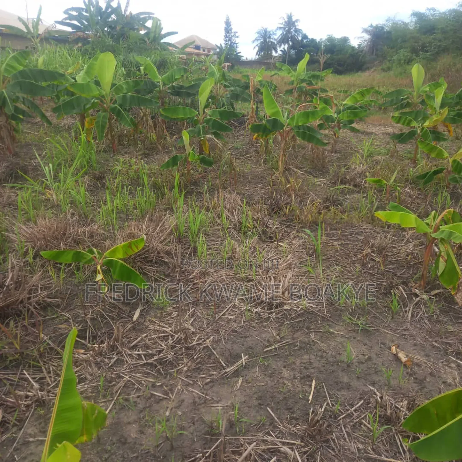 3 Plots of Land for Sale at Asuoyeboah Tanoso