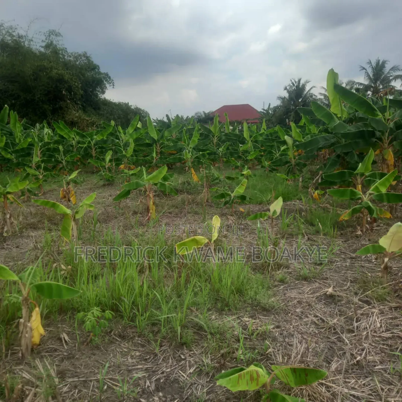 3 Plots of Land for Sale at Asuoyeboah Tanoso