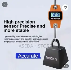 Commercial Crane Scale 300kg