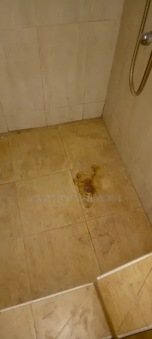 Deep Cleaning