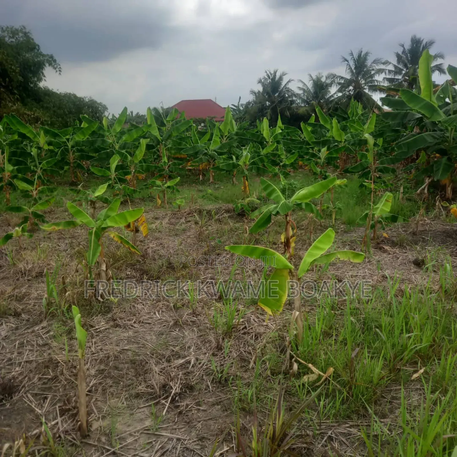 3 Plots of Land for Sale at Asuoyeboah Tanoso