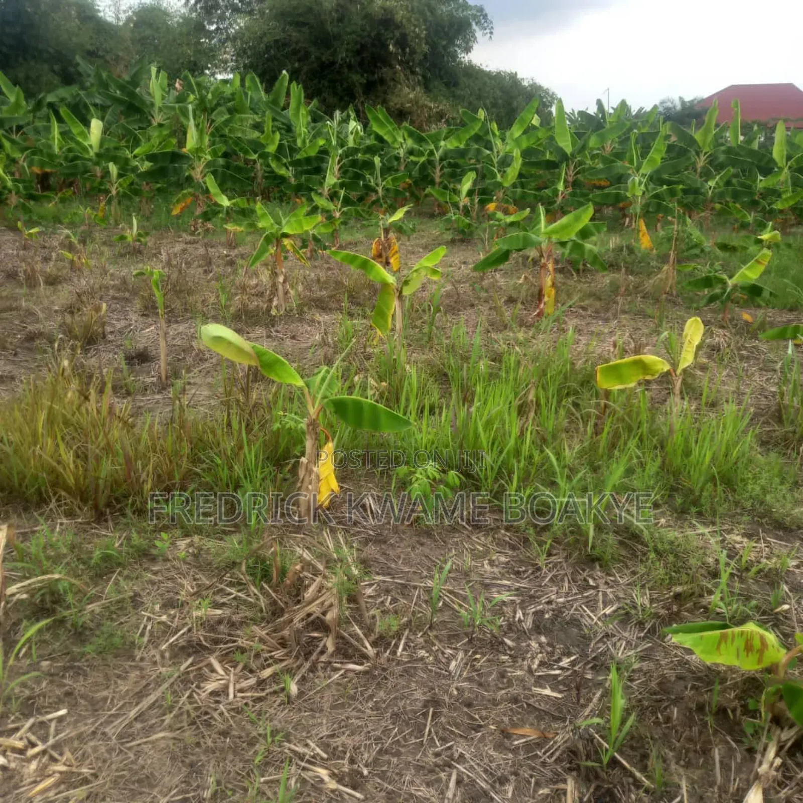 3 Plots of Land for Sale at Asuoyeboah Tanoso