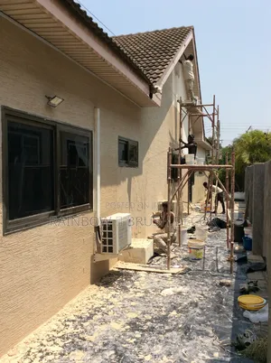 Waterproof Graffiato Paint and Wall Dumpness Treatment