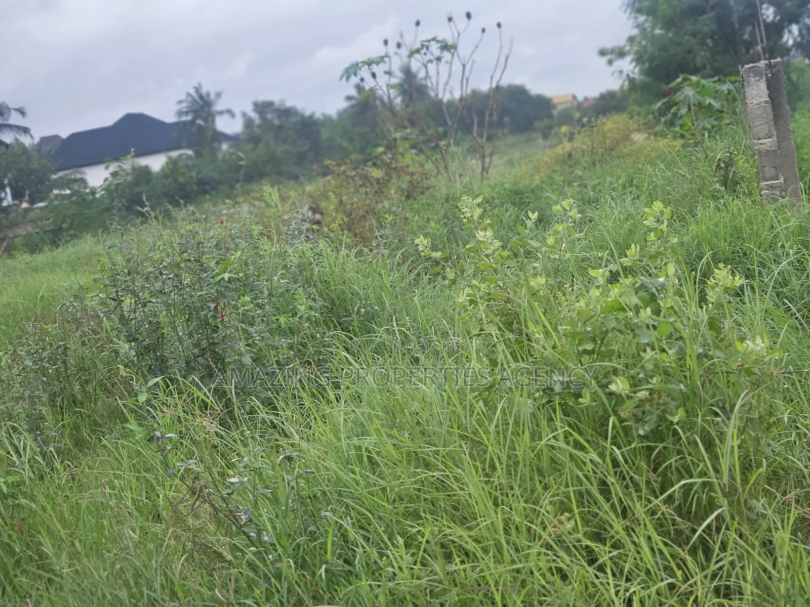 21 Acres Located at Dahwenya Close to B5