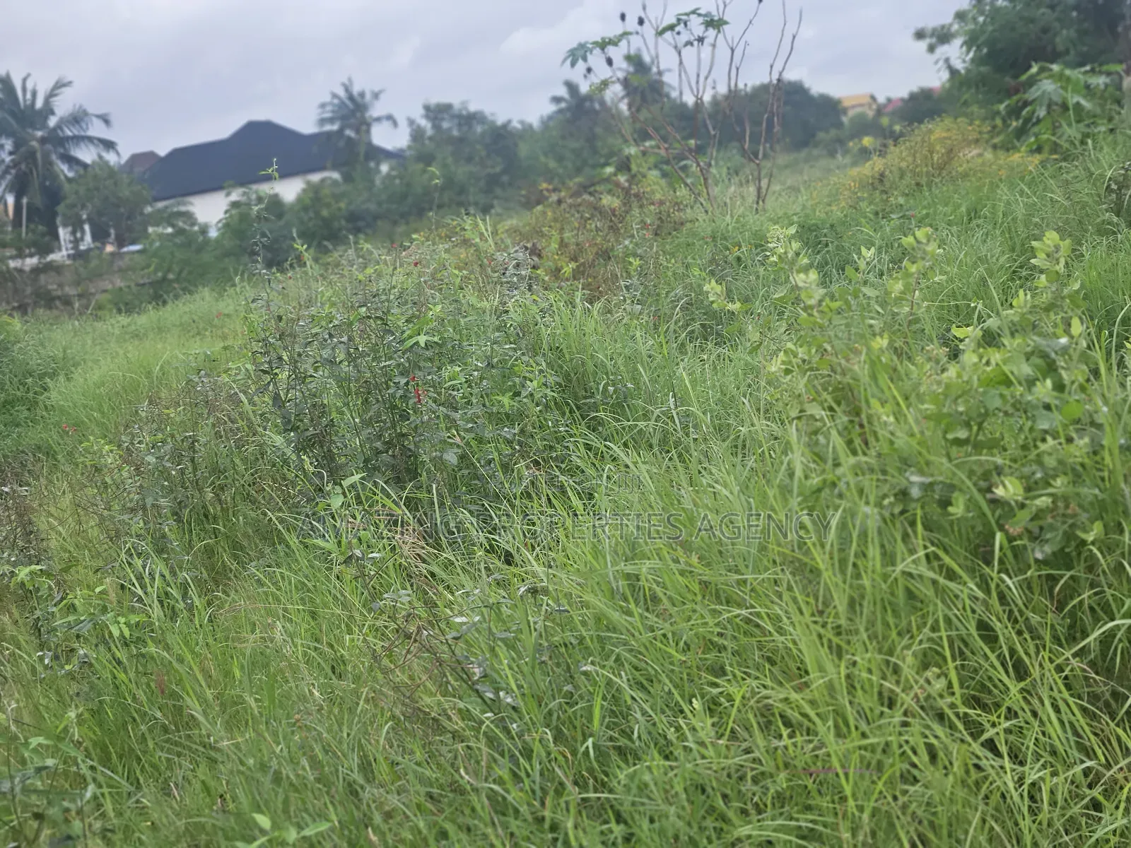 21 Acres Located at Dahwenya Close to B5