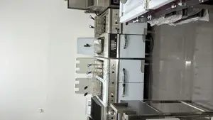 Standing Deep Fryer 25l