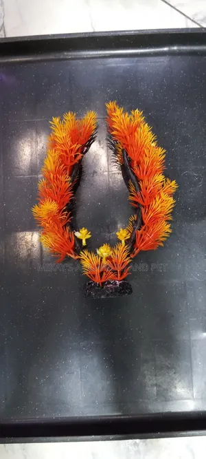 Plant for Aquarium Decor