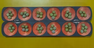 Oware With 50 Pebbles