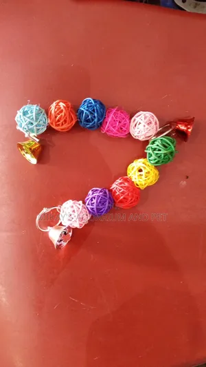 Bird Play Toy