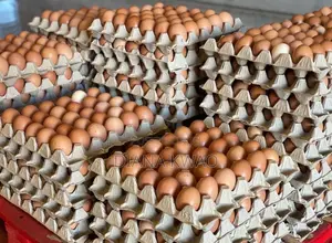 Eggs for Sale