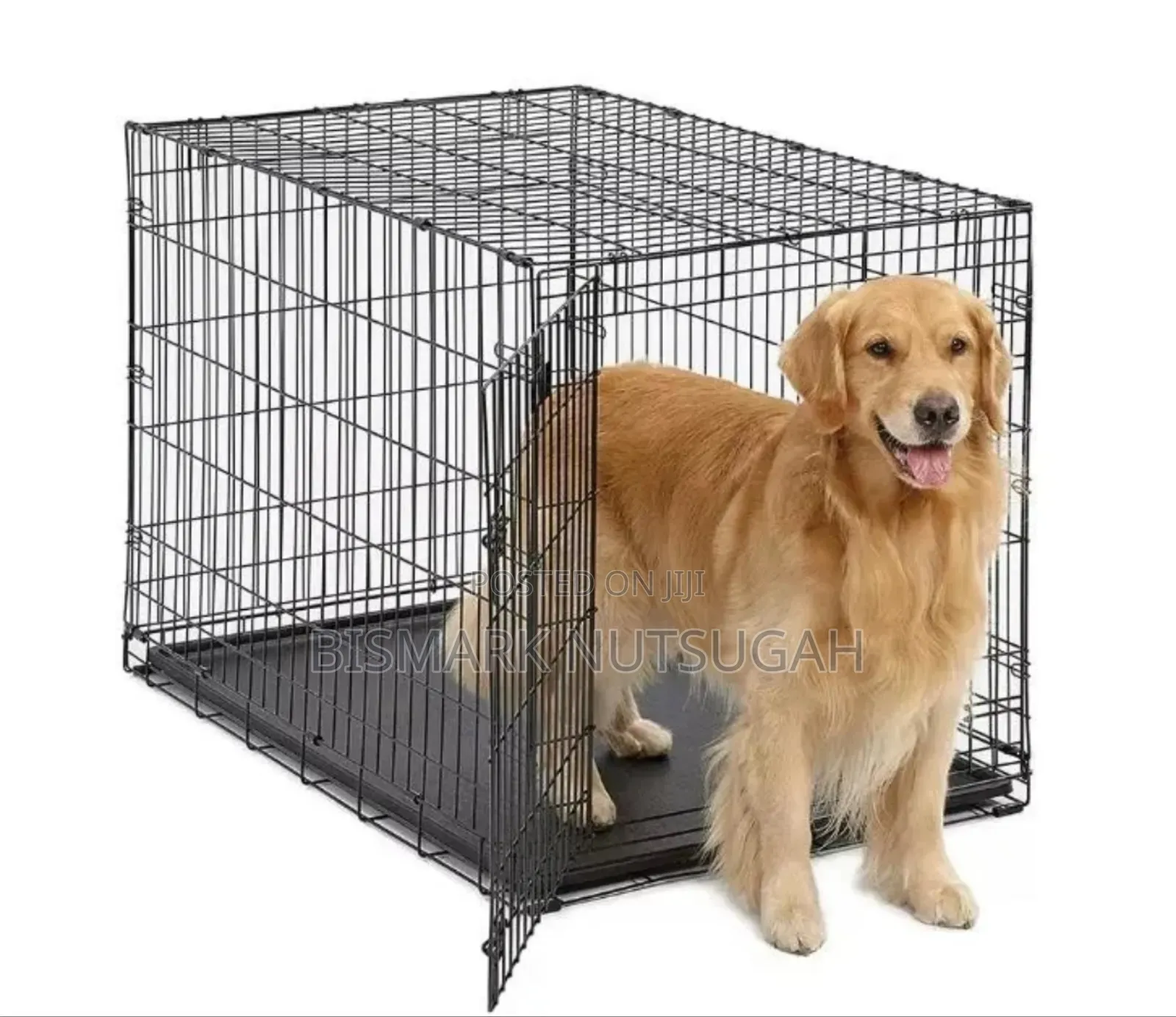 Metal Foldable Dog Cage