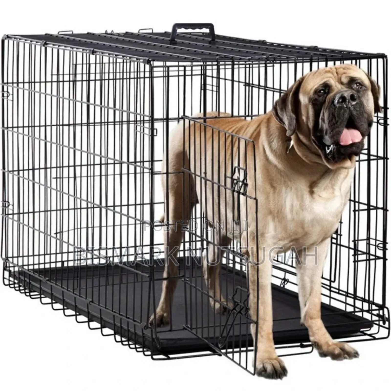 Metal Foldable Dog Cage