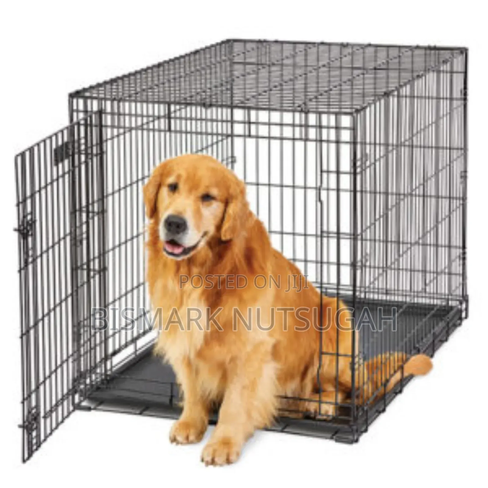 Metal Foldable Dog Cage