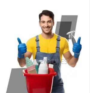 Cleaner Service
