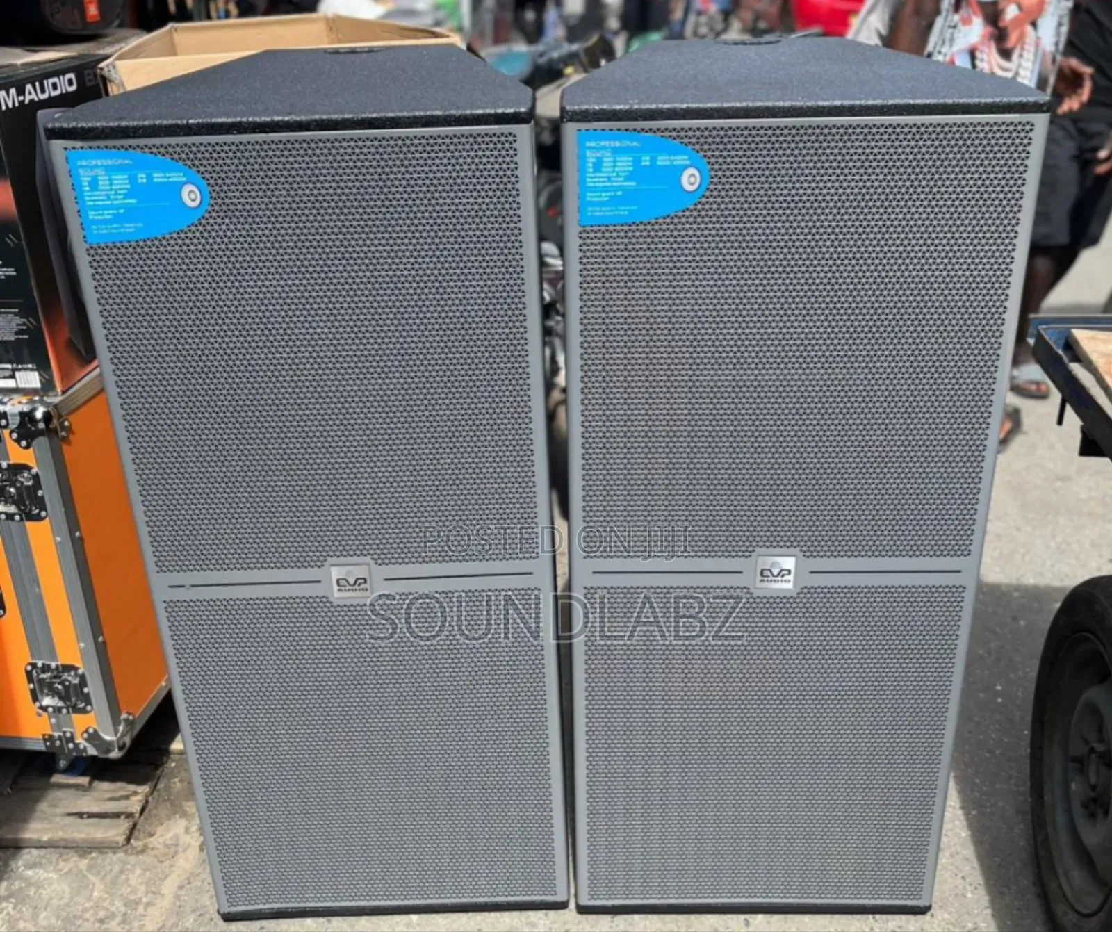 Audio Dm-215 Dual 15-inch Full-range Speaker.