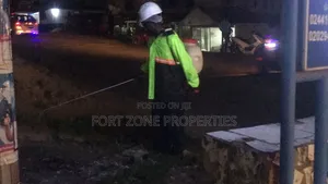 Fumigation All Day All Time