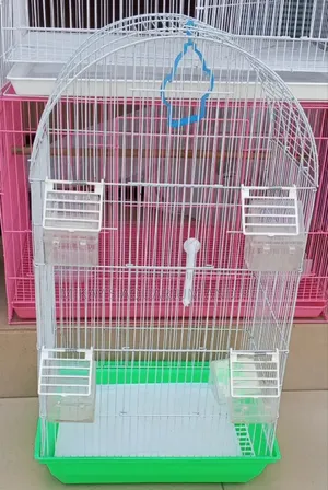 Cage for Birds
