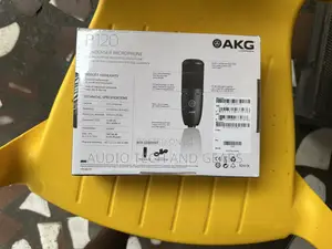 Akg P120 Studio Condenser Microphone