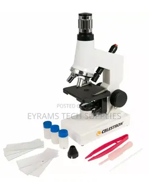Celestron Beginner Microscope Kit Magnification